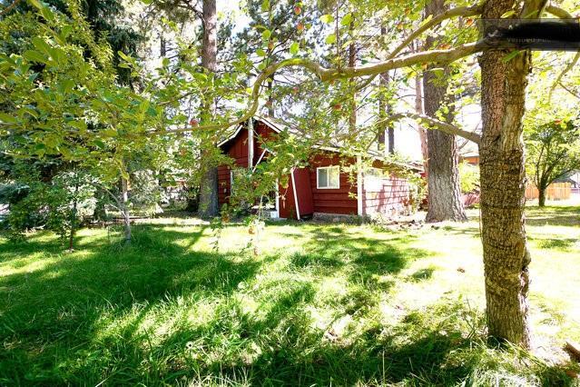 Green Cabin In Big Bear Lake 3 Bdr Pets Friendly Big Bear City Eksteriør bilde